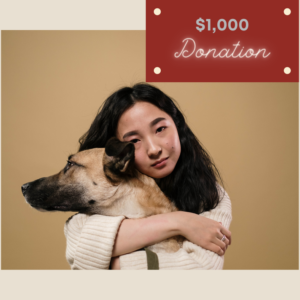 $1,000 donation
