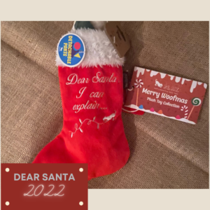 Holiday 2022 - Dear Santa Stocking